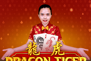 Dragon Tiger Game Bonus Features